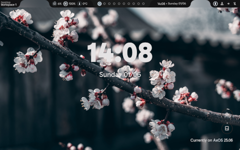 AxOS screenshot