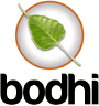 Bodhi Linux