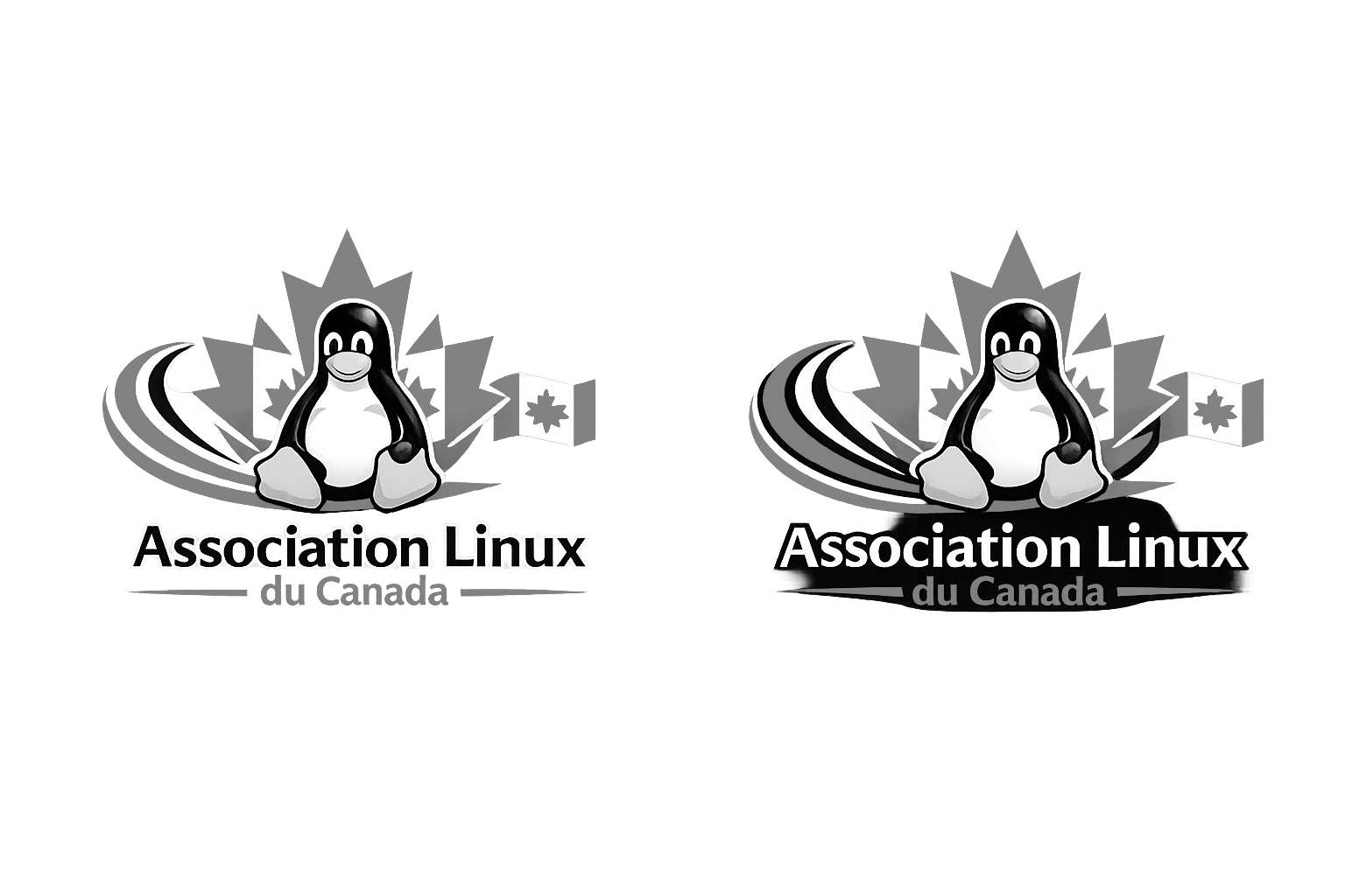 French Logo BW