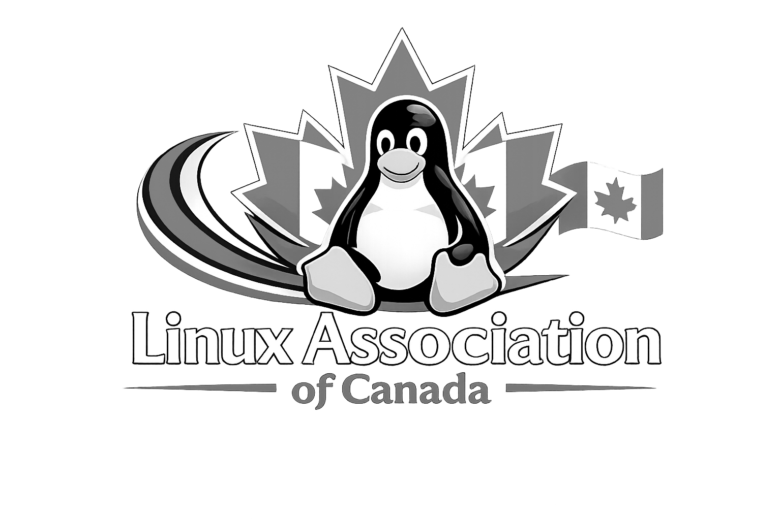Primary Logo (Light) BW